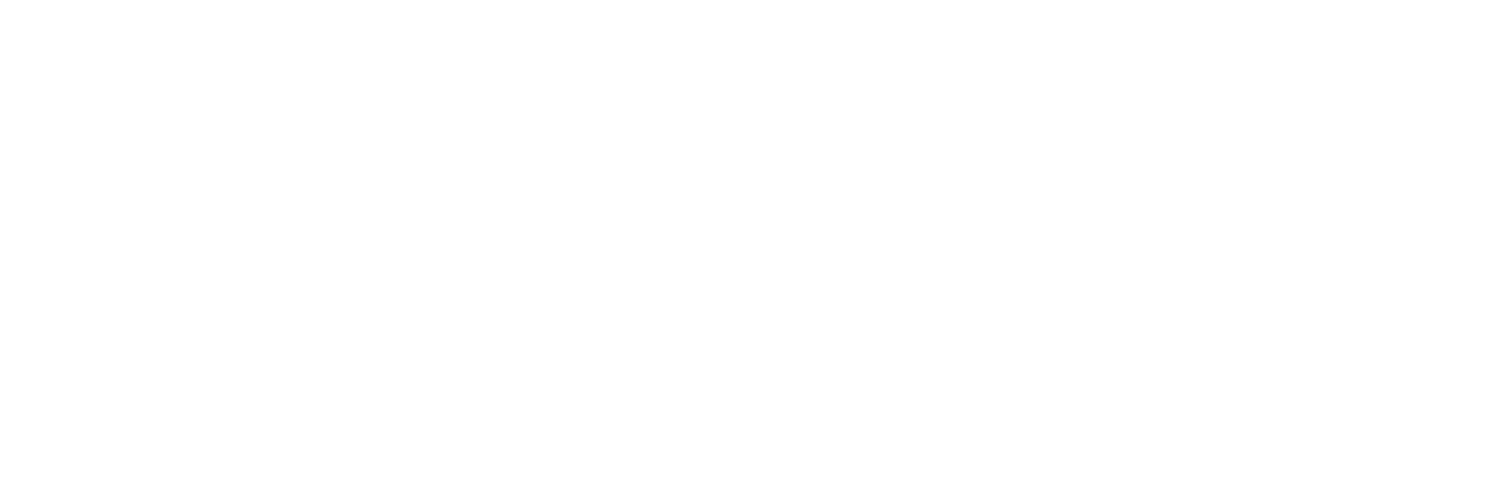 Eip Logo White
